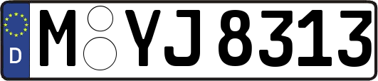 M-YJ8313