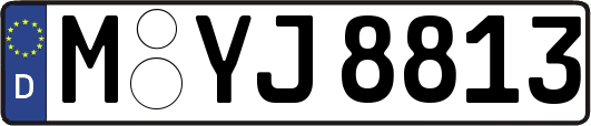 M-YJ8813
