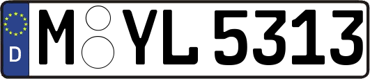 M-YL5313