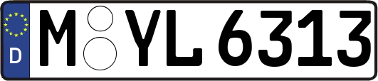 M-YL6313