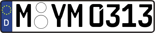 M-YM0313