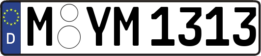M-YM1313
