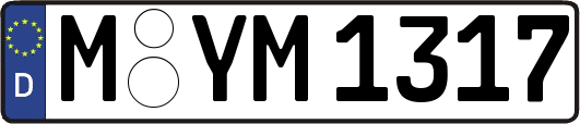 M-YM1317