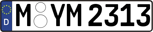 M-YM2313