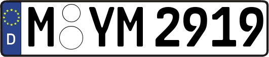 M-YM2919