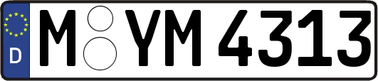 M-YM4313