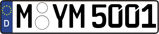M-YM5001