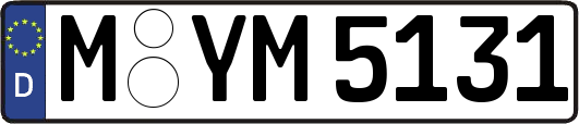 M-YM5131