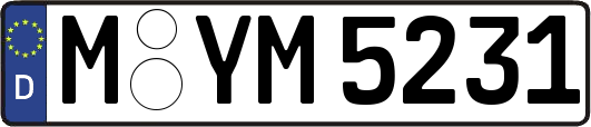 M-YM5231