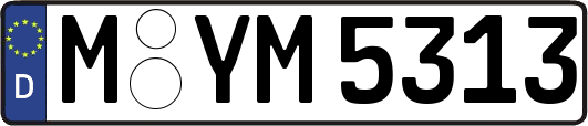M-YM5313