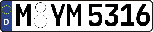 M-YM5316
