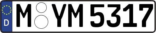 M-YM5317