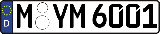 M-YM6001