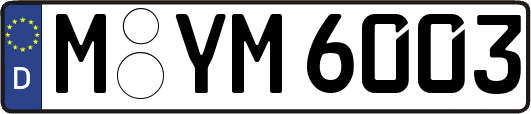 M-YM6003
