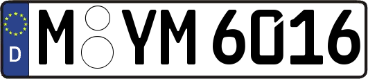 M-YM6016