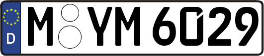 M-YM6029