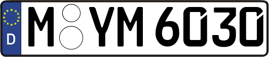 M-YM6030