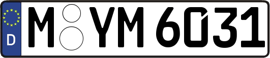 M-YM6031