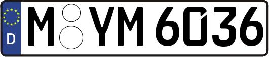 M-YM6036