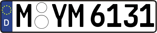 M-YM6131