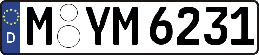 M-YM6231