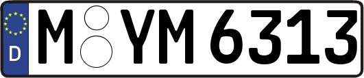 M-YM6313