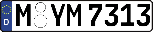 M-YM7313