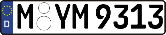 M-YM9313