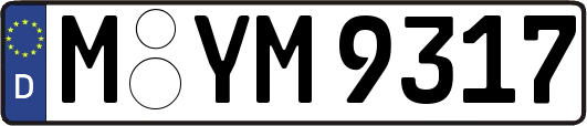 M-YM9317
