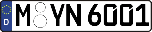 M-YN6001