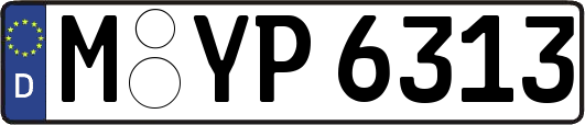 M-YP6313