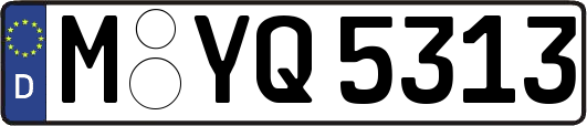 M-YQ5313