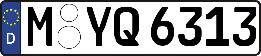 M-YQ6313