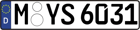 M-YS6031