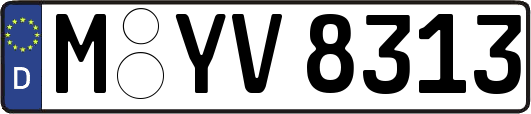 M-YV8313