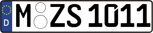 M-ZS1011