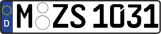 M-ZS1031