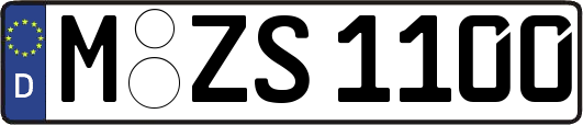 M-ZS1100