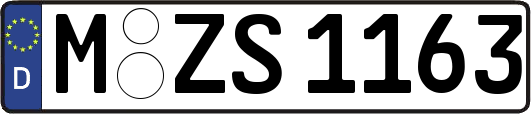 M-ZS1163