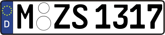 M-ZS1317