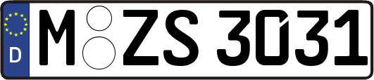 M-ZS3031