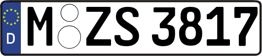 M-ZS3817