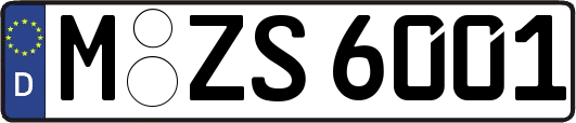 M-ZS6001