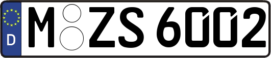 M-ZS6002