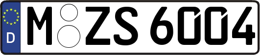 M-ZS6004