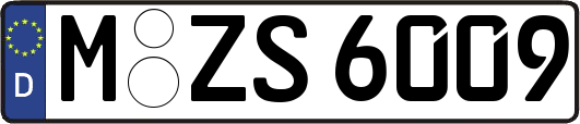 M-ZS6009