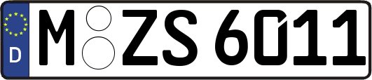 M-ZS6011