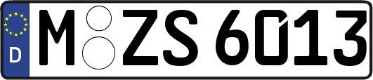 M-ZS6013