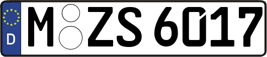 M-ZS6017