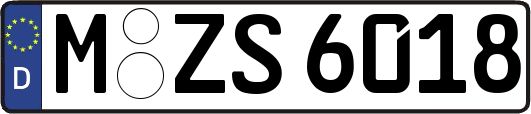 M-ZS6018